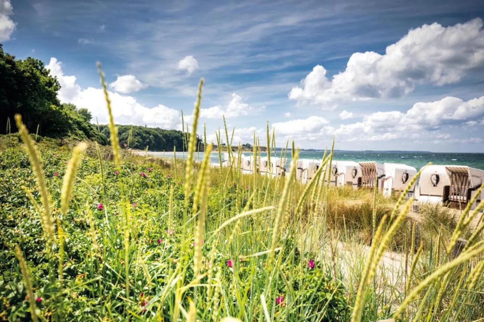 Dat Brookhus-Gebieden zomer 20km