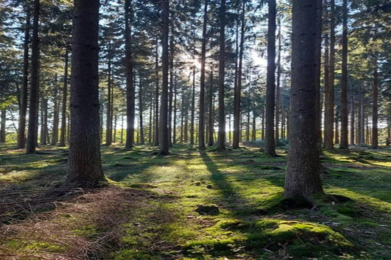 Der kleine ULI-Gebieden zomer 20km
