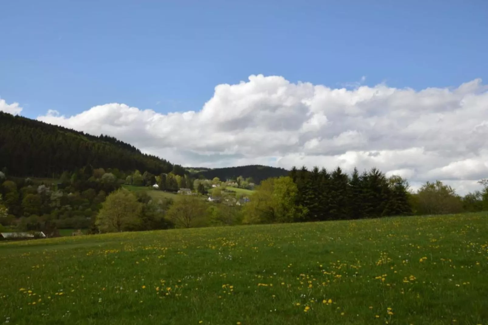 Ferienhaus Steinbach-Hallenberg-Gebieden zomer 20km