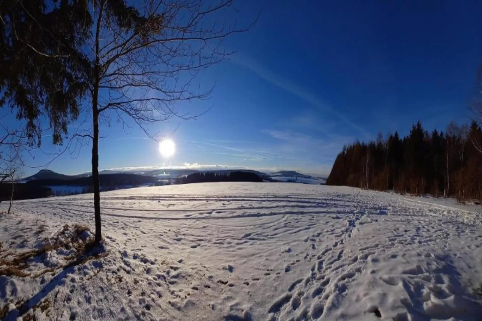Honighäusl-Gebied winter 20km