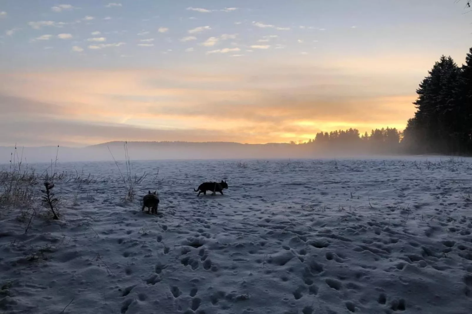 Ferienwohnung an der Talsperre Rauschenbach-Gebied winter 20km
