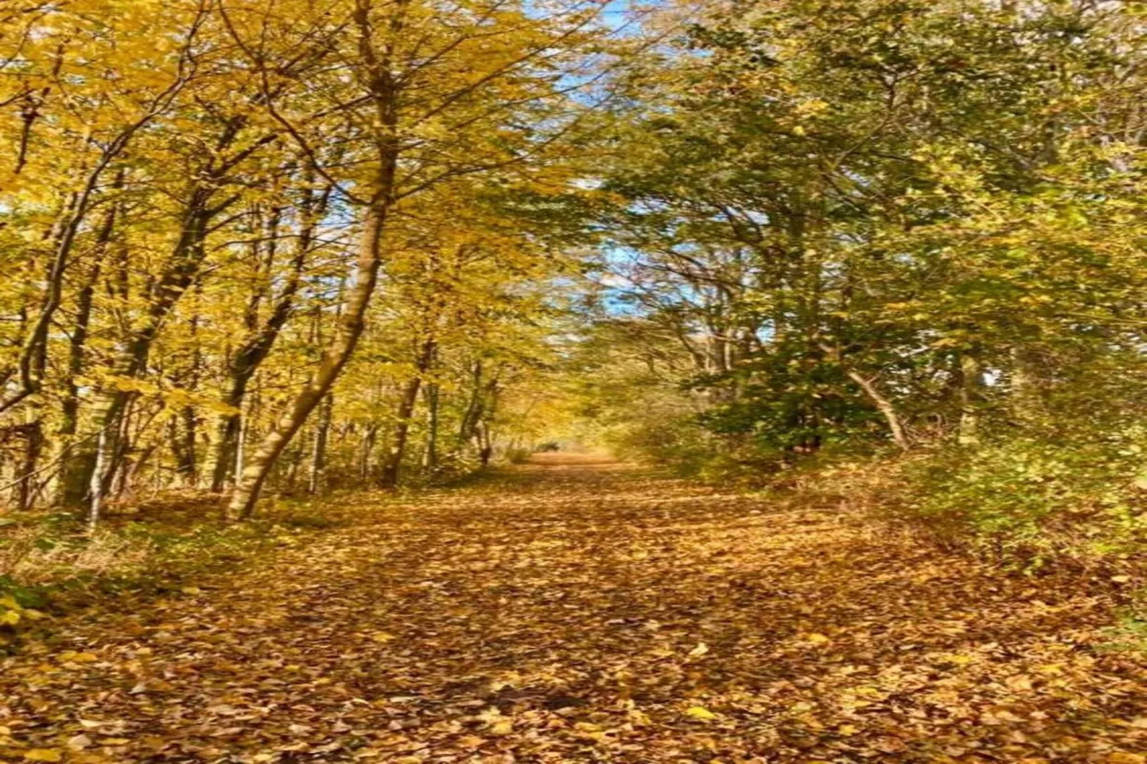 Hohenkirchen mit Garten Terrasse und Strandkorb-Gebieden zomer 20km