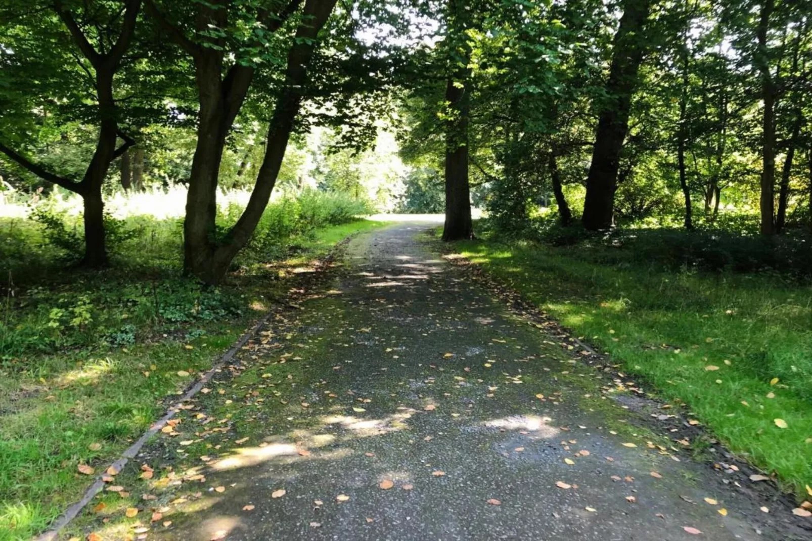 Ferienwohnung Der Anker-Gebieden zomer 20km