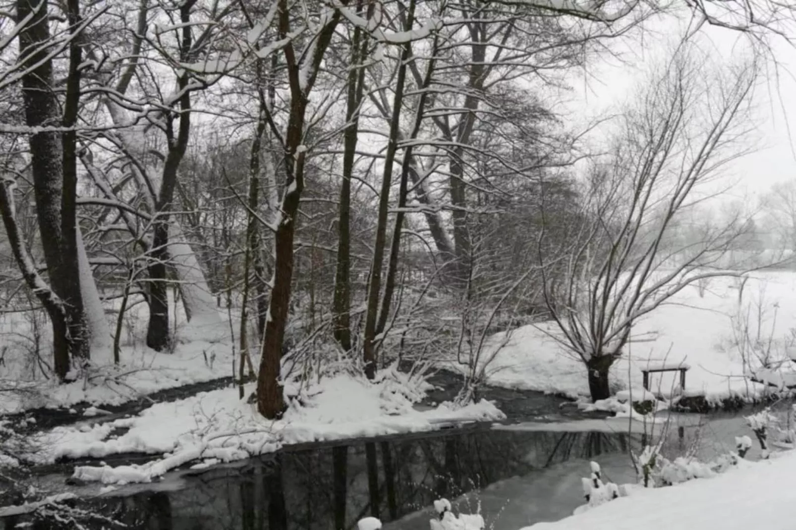 Nieheim-Merlsheim-Gebied winter 20km