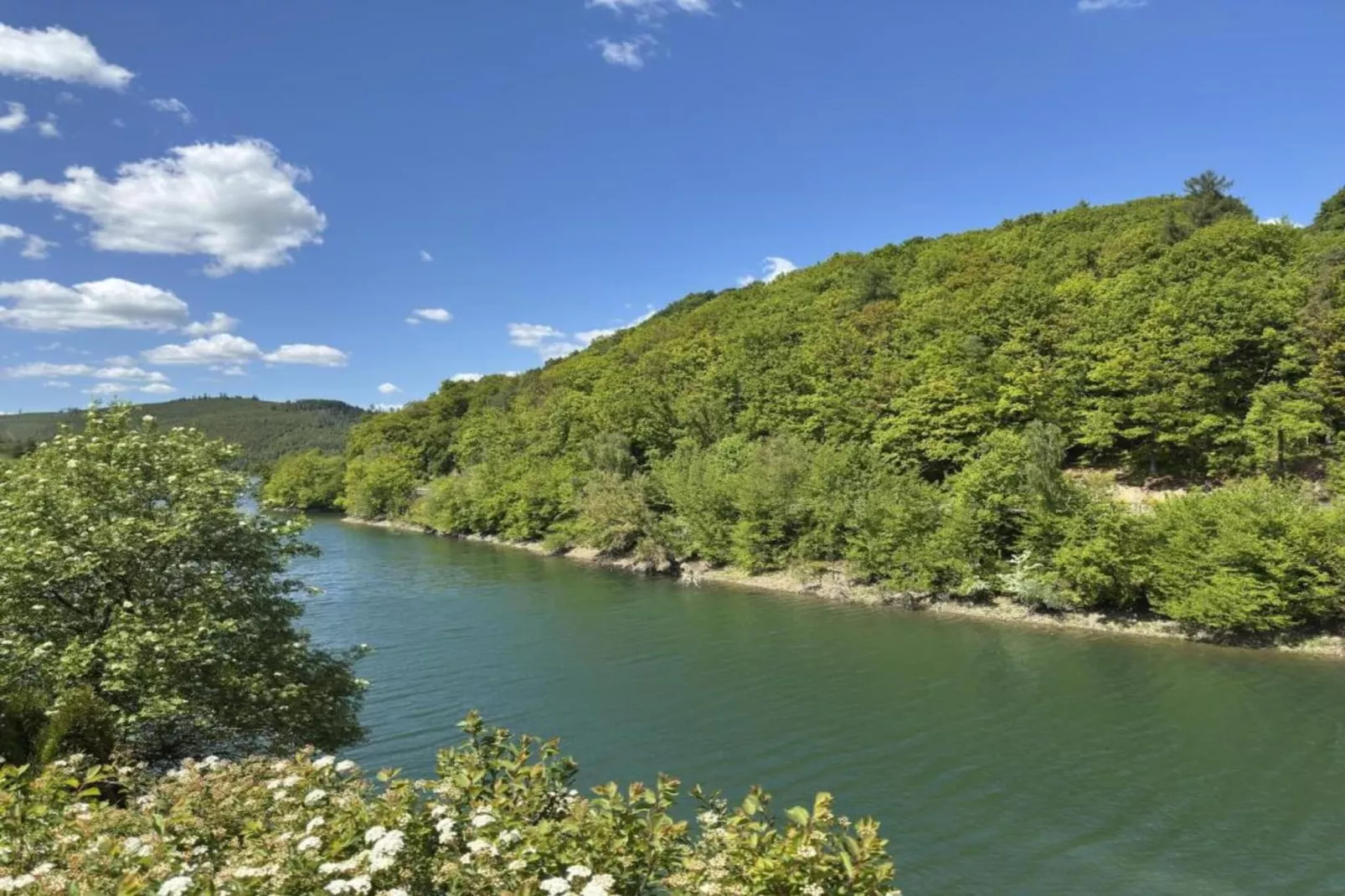 Sauerland - Diemelsee-Gebieden zomer 5km