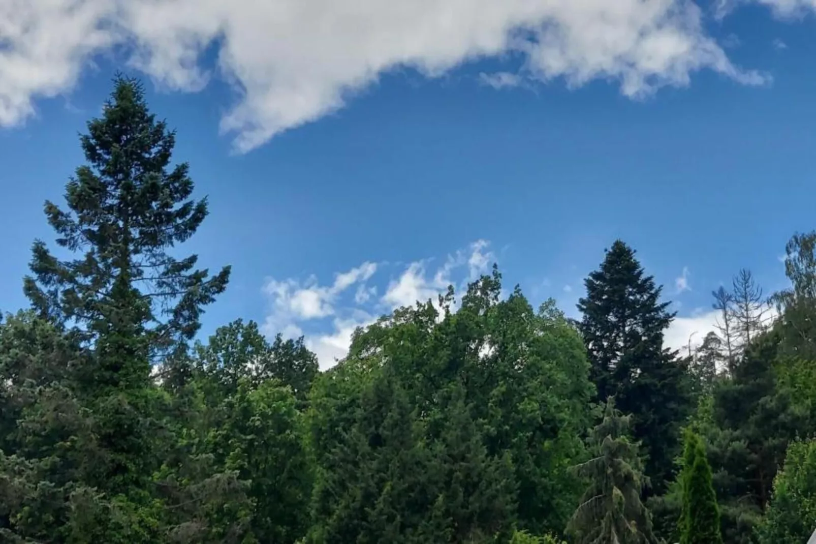 Haus Knoche-Gebieden zomer 20km