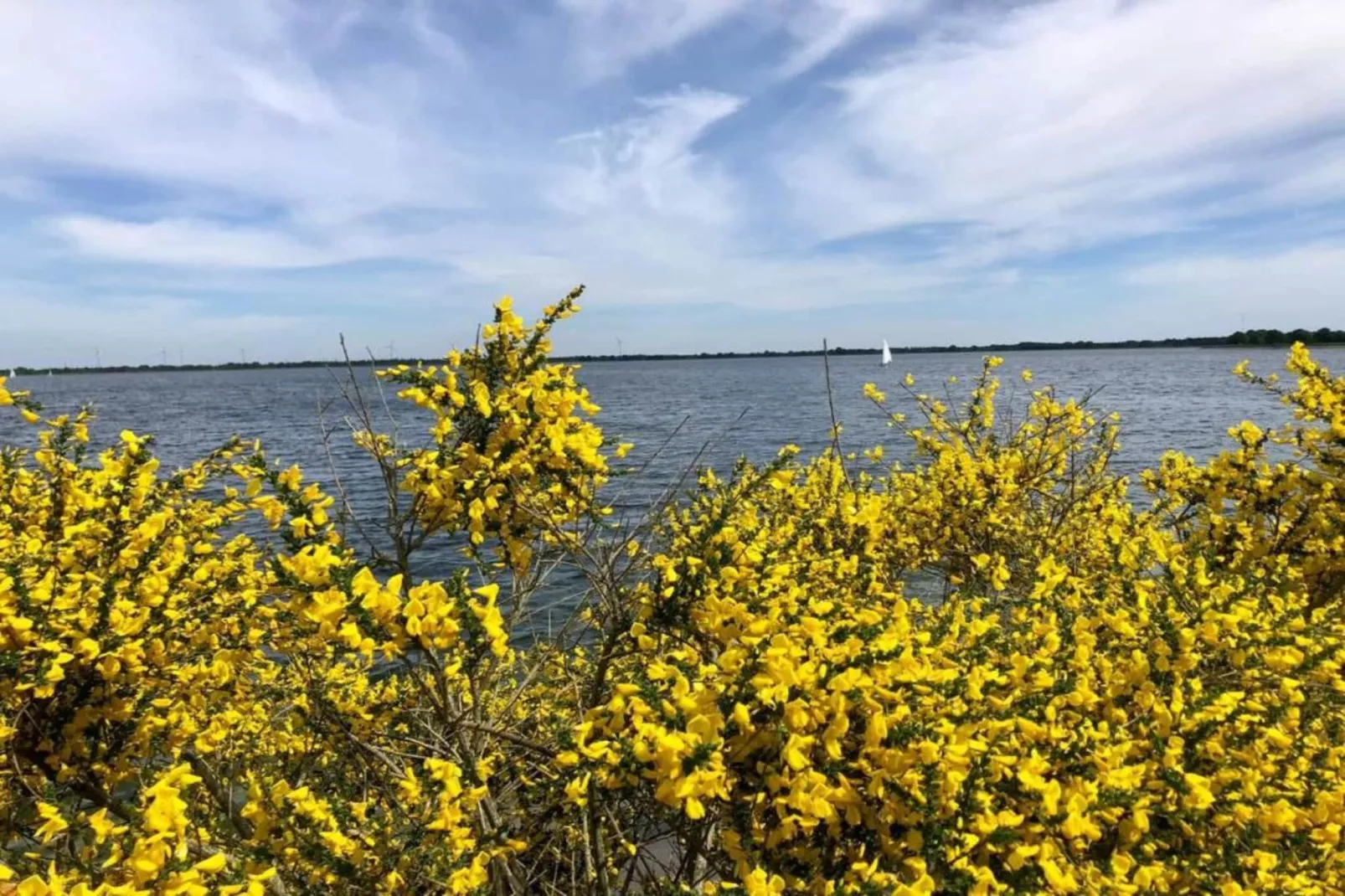 Ferienresort Bad Bentheim 9-Gebieden zomer 20km