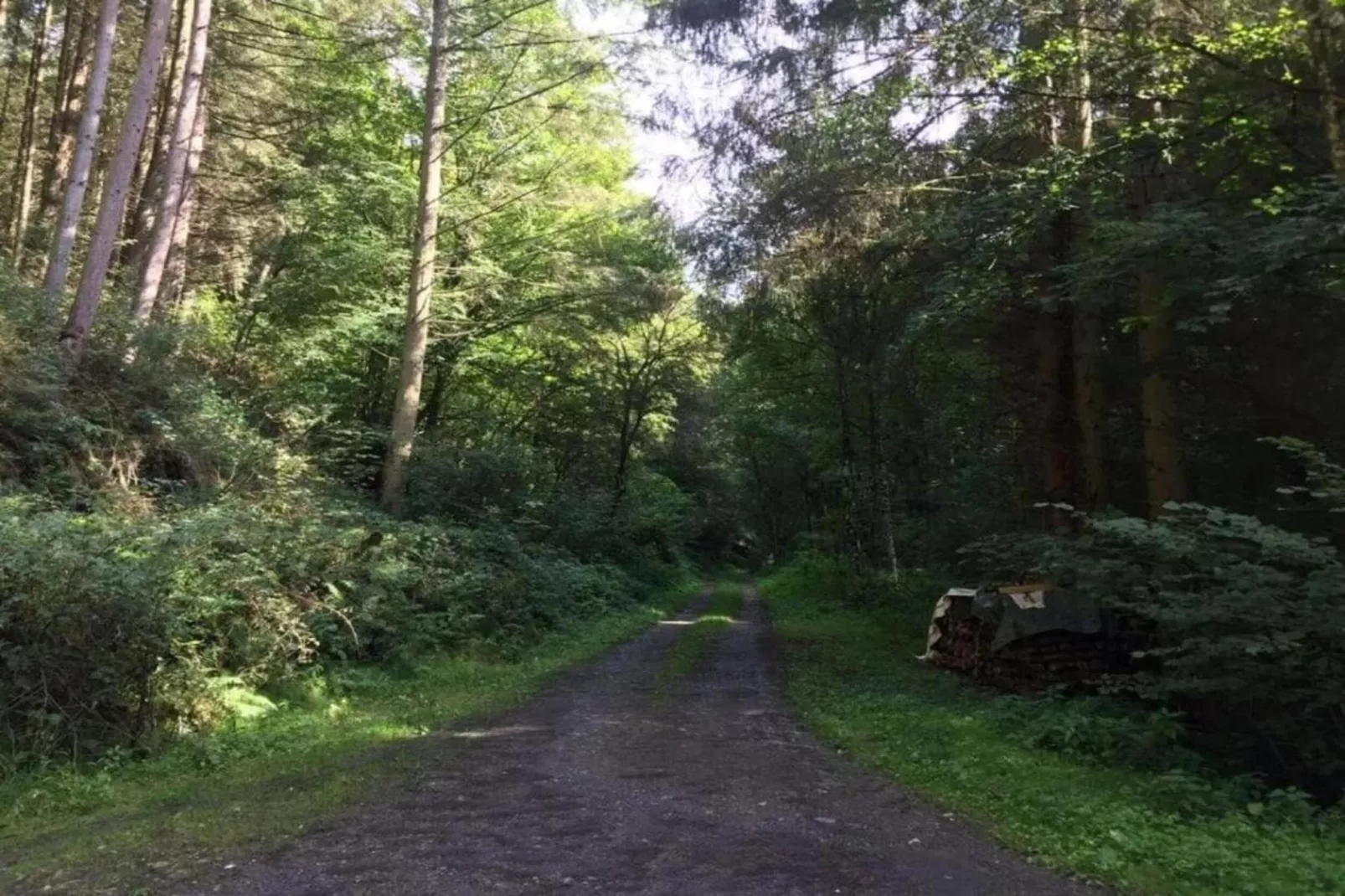 Pilmer 20-Gebieden zomer 20km