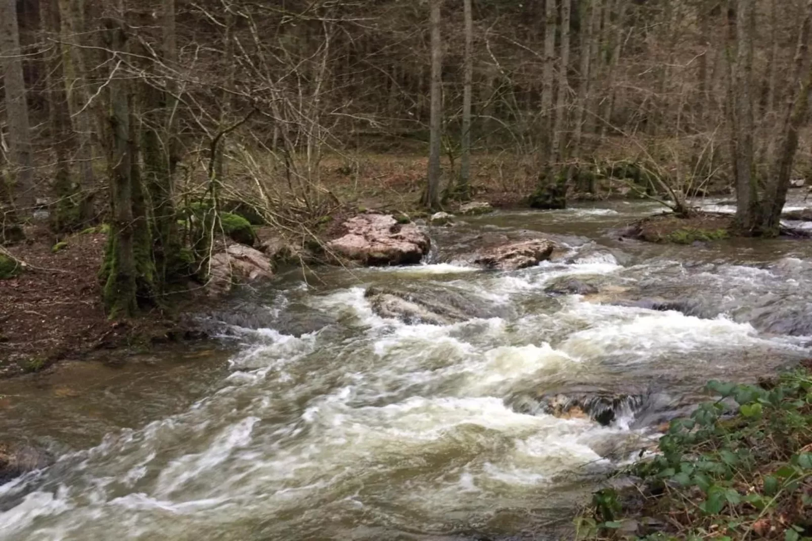 Schwalbennest-Gebieden zomer 5km
