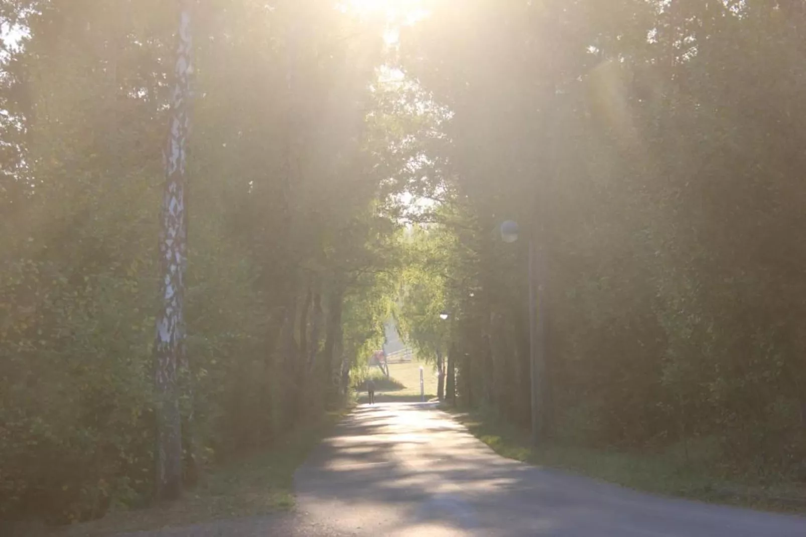 Hillesheim-Gebieden zomer 20km