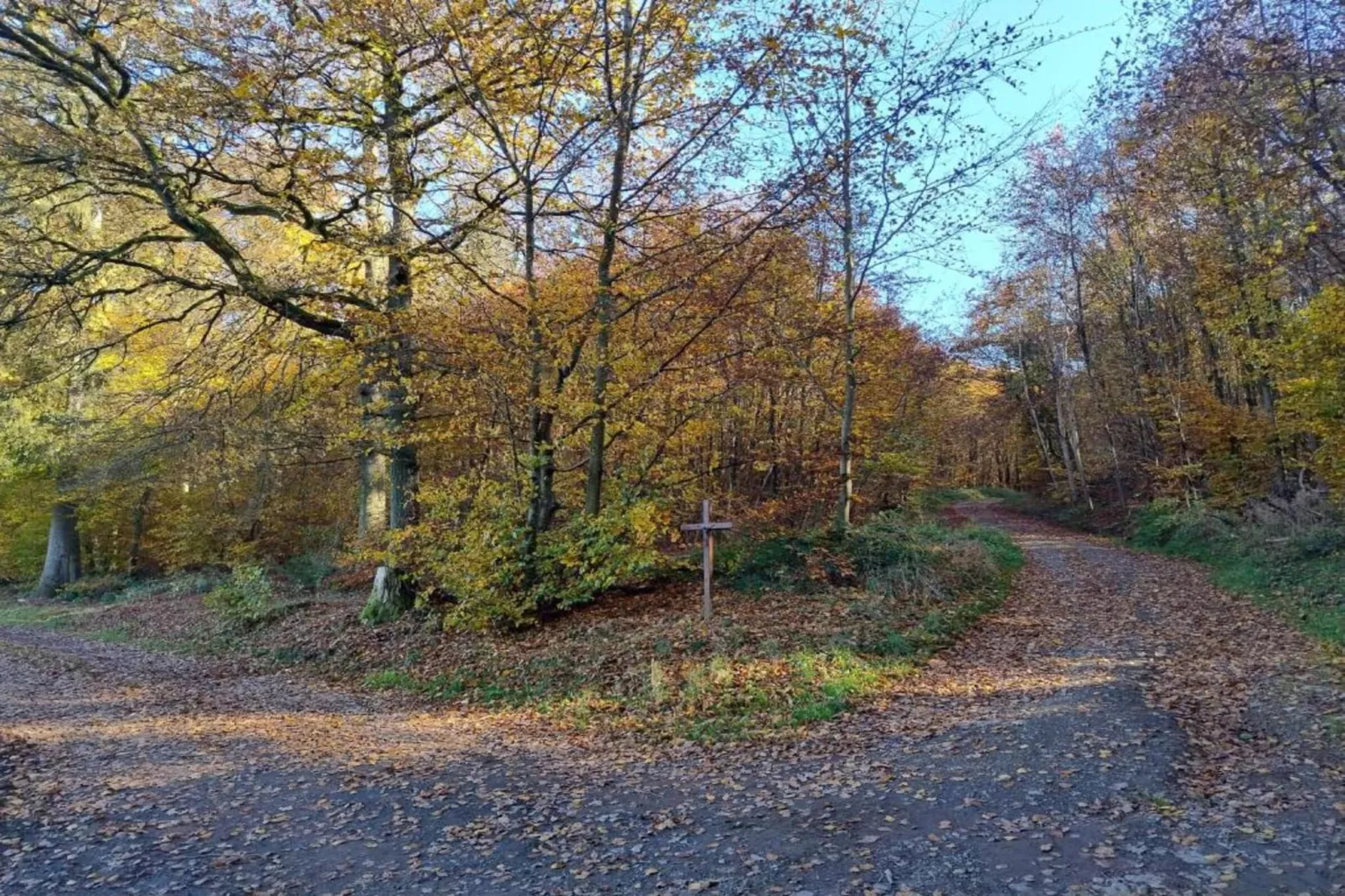 Denterhof-Gebieden zomer 20km