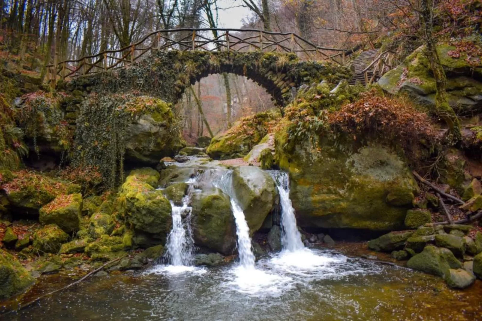 Feinen-Steils-Gebieden zomer 20km