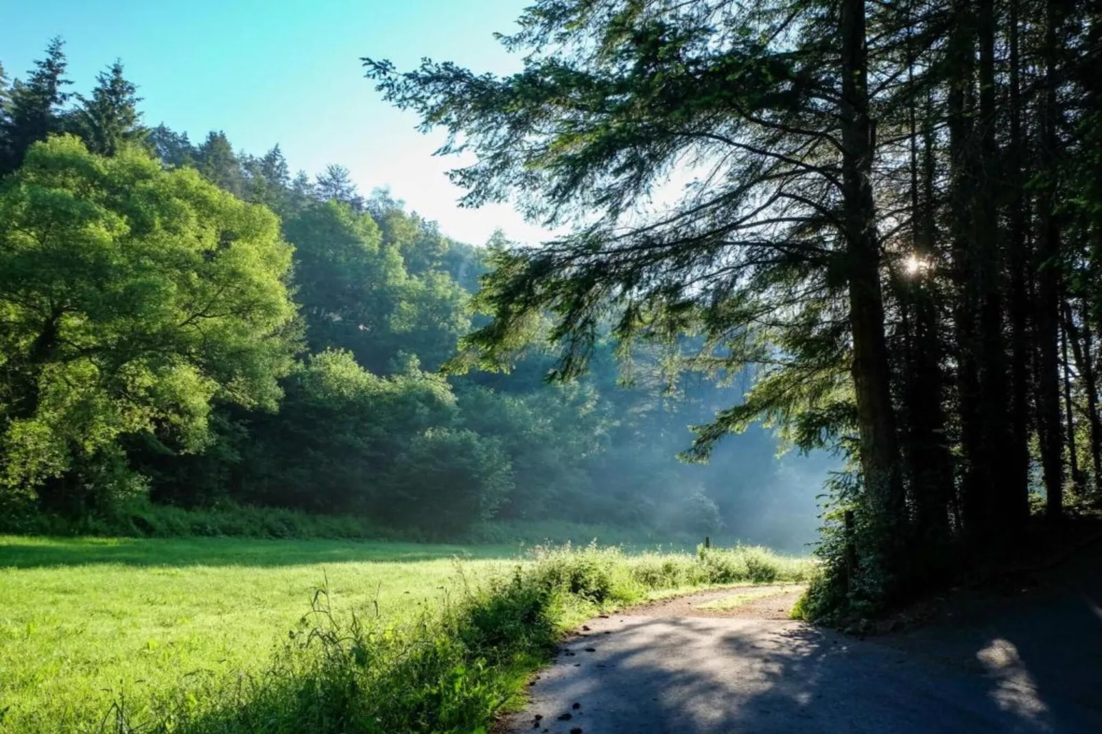 Feriendorf Reinskopf 3-Gebieden zomer 5km
