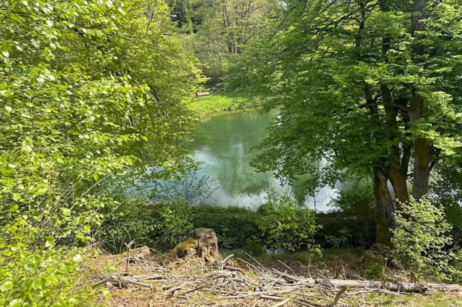 Neuastenberger Straße 4 - Neuastenberg-Gebieden zomer 5km