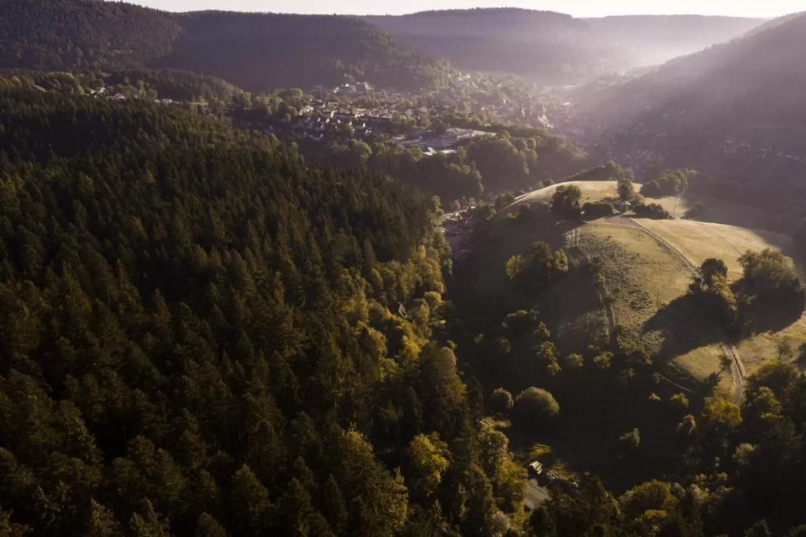 Schwarzwald-Gebieden zomer 20km
