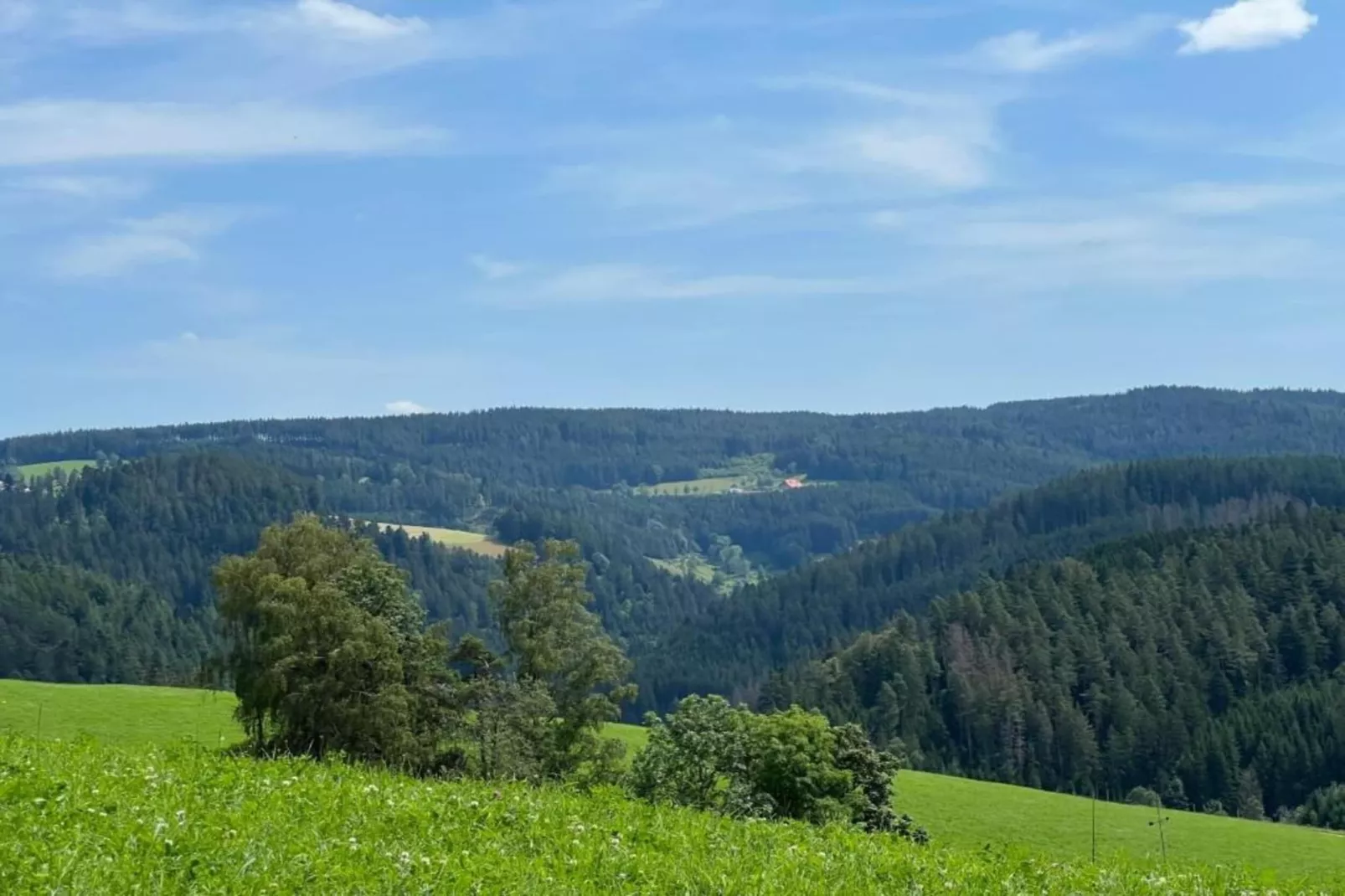 Schwarzwald-Gebieden zomer 20km