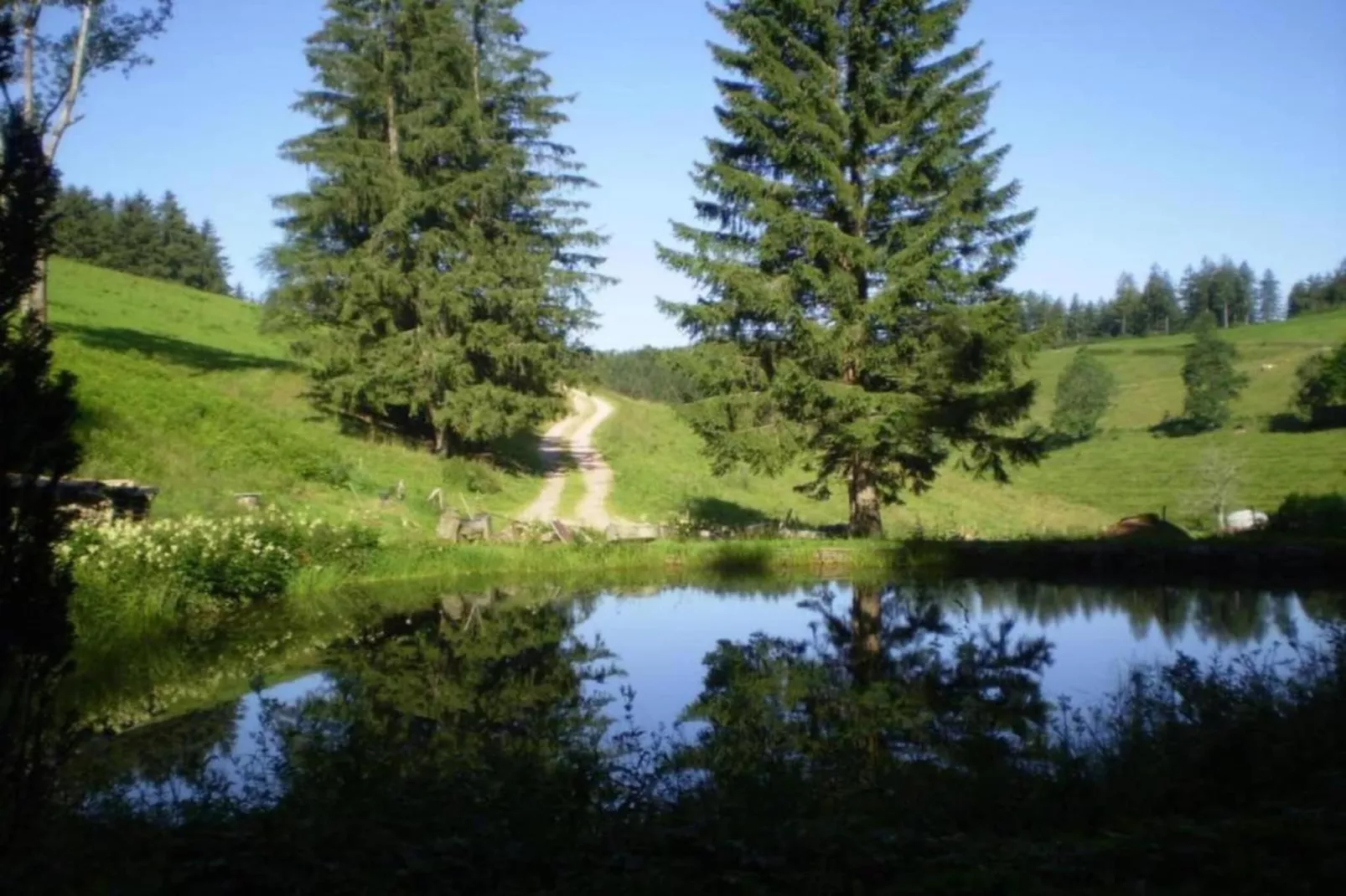 Gästehaus Hauber-Gebieden zomer 20km