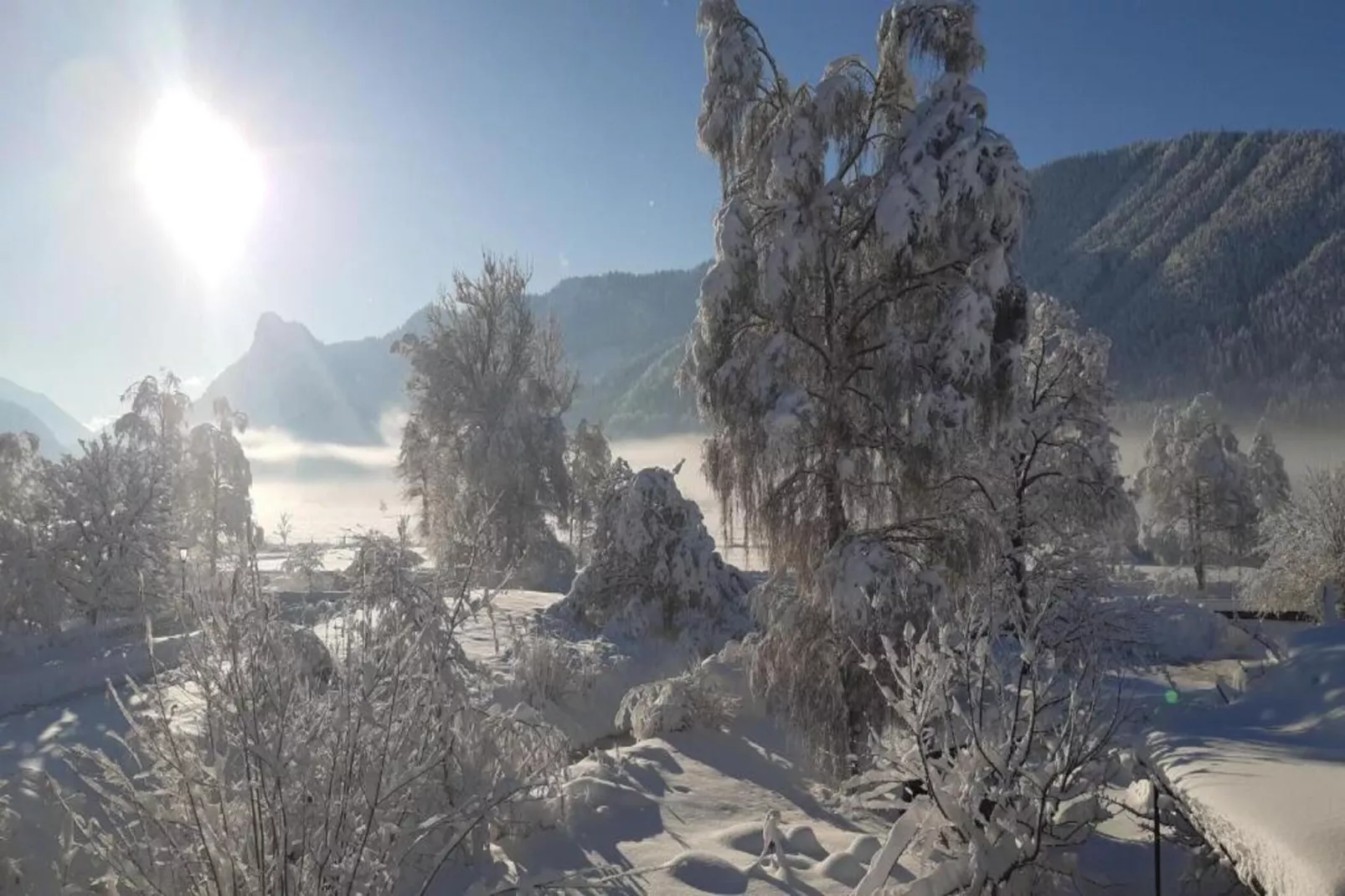 Sonnenblume-Gebied winter 20km