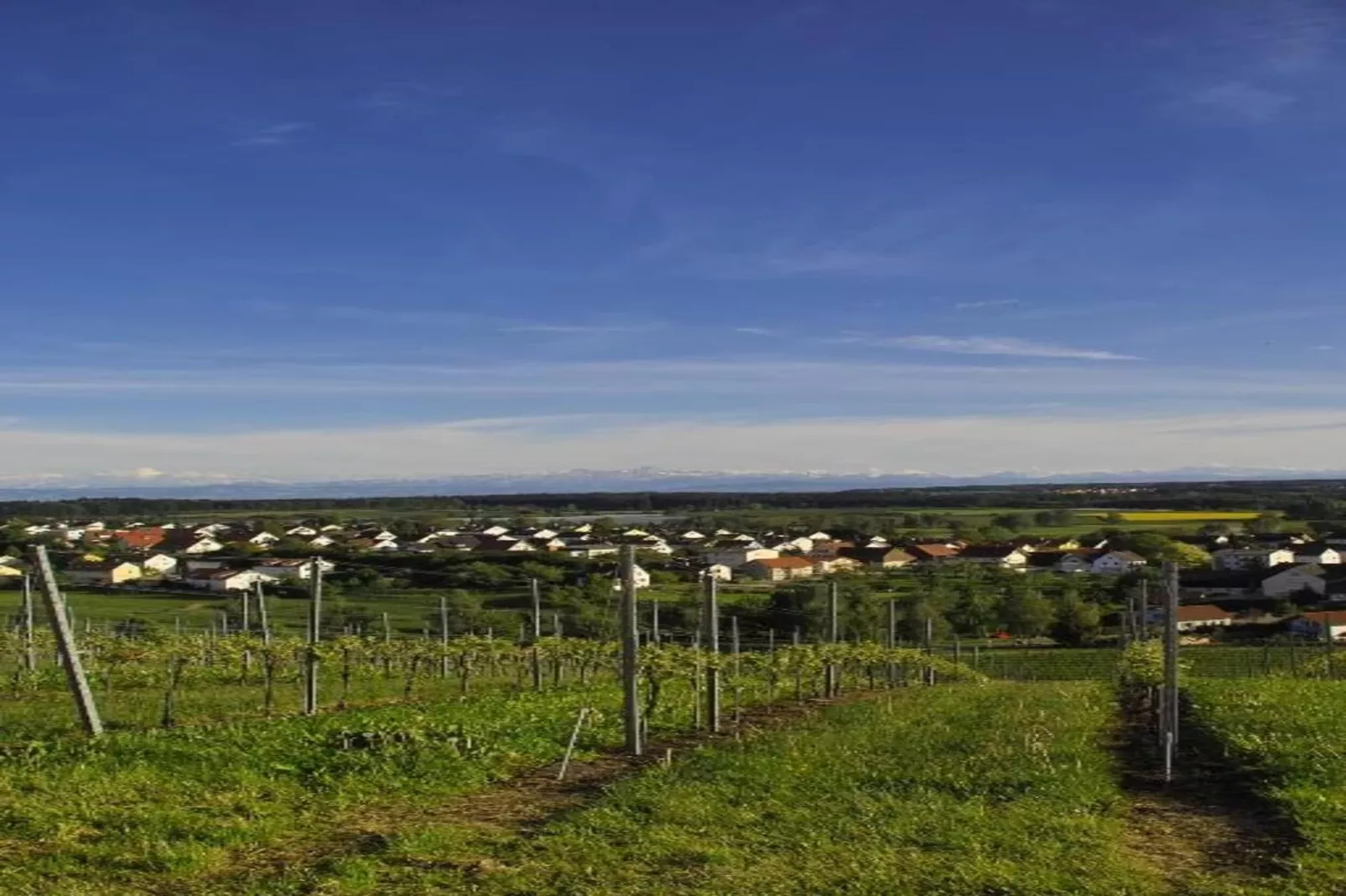 Markdorf-Gebieden zomer 20km