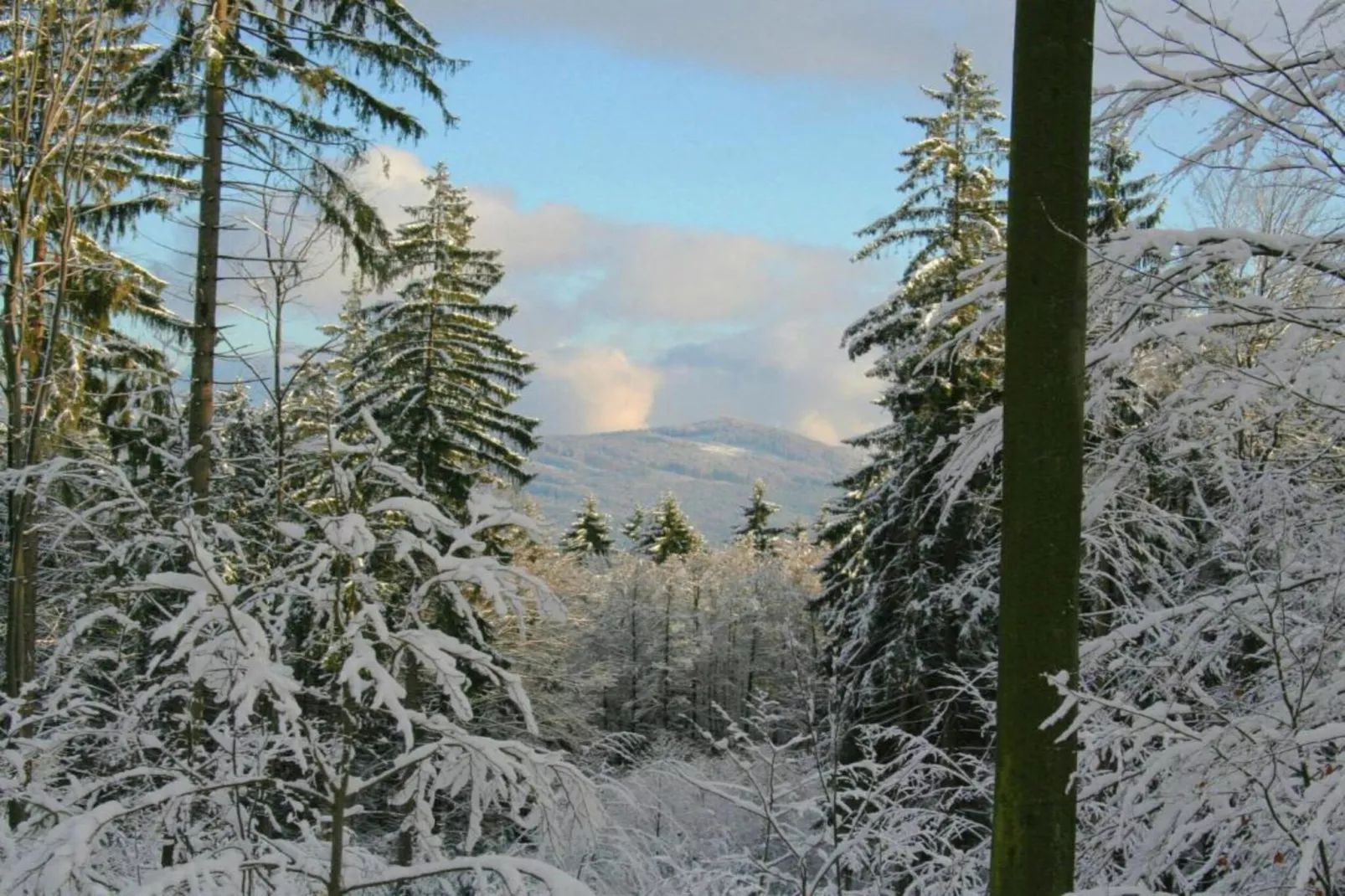 Schloßbergblick-Gebieden zomer 20km