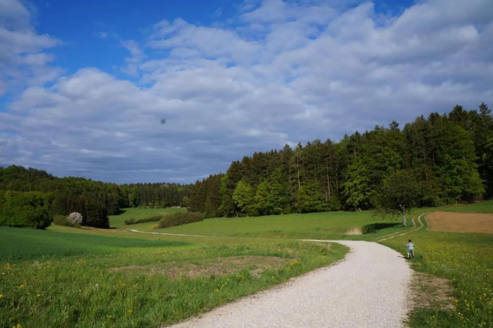 Wildrose-Gebieden zomer 20km