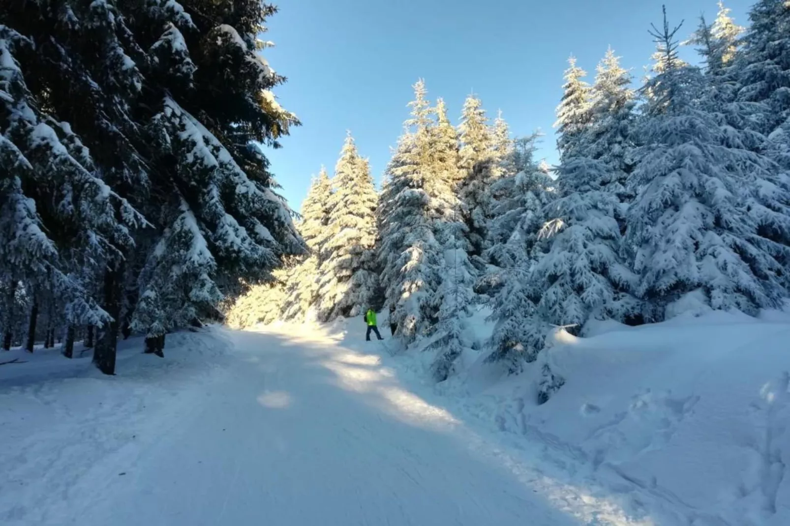 Sereen verblijf met tuin-Gebied winter 5km
