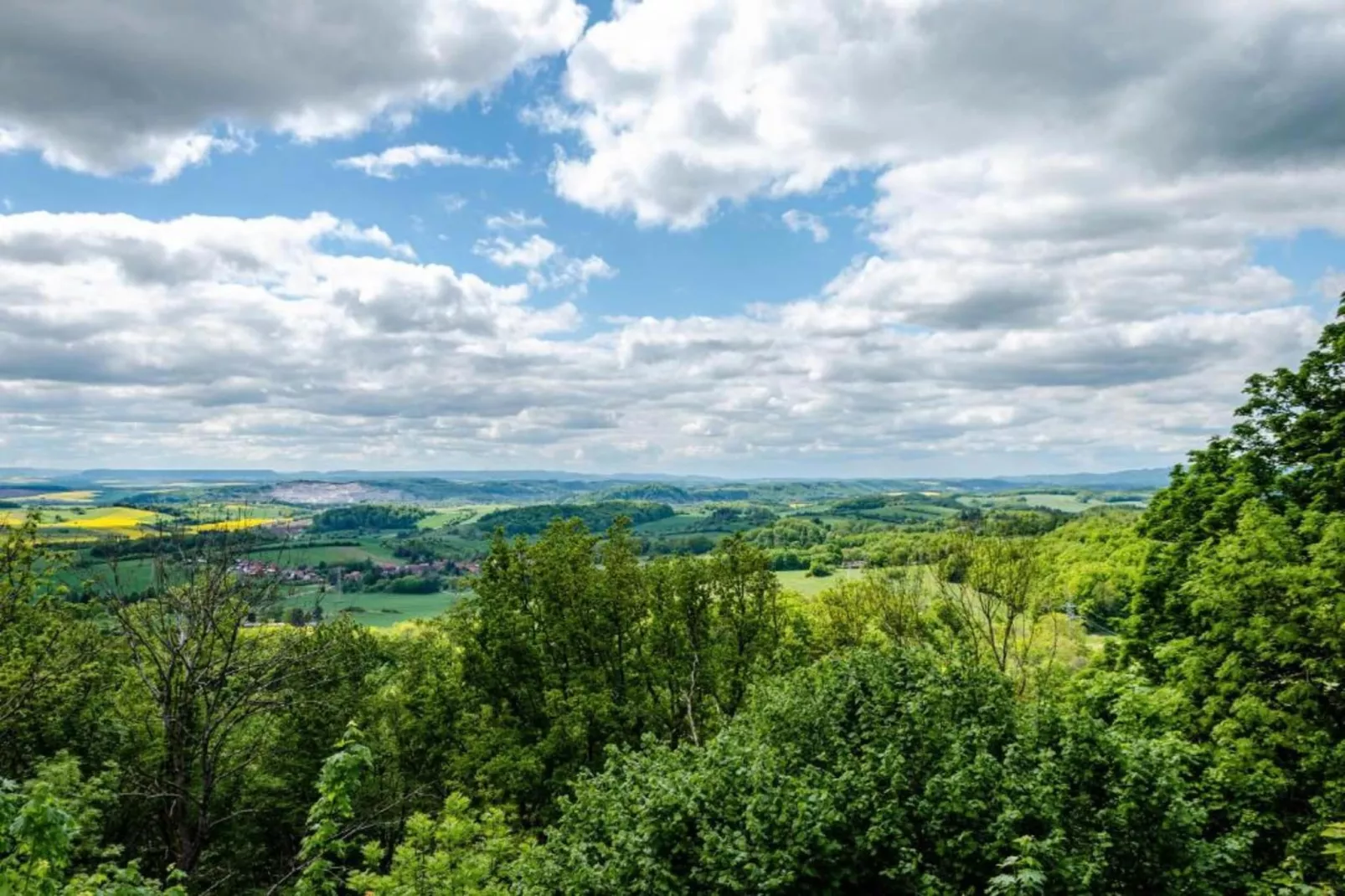 Neustadt 1-Gebieden zomer 5km