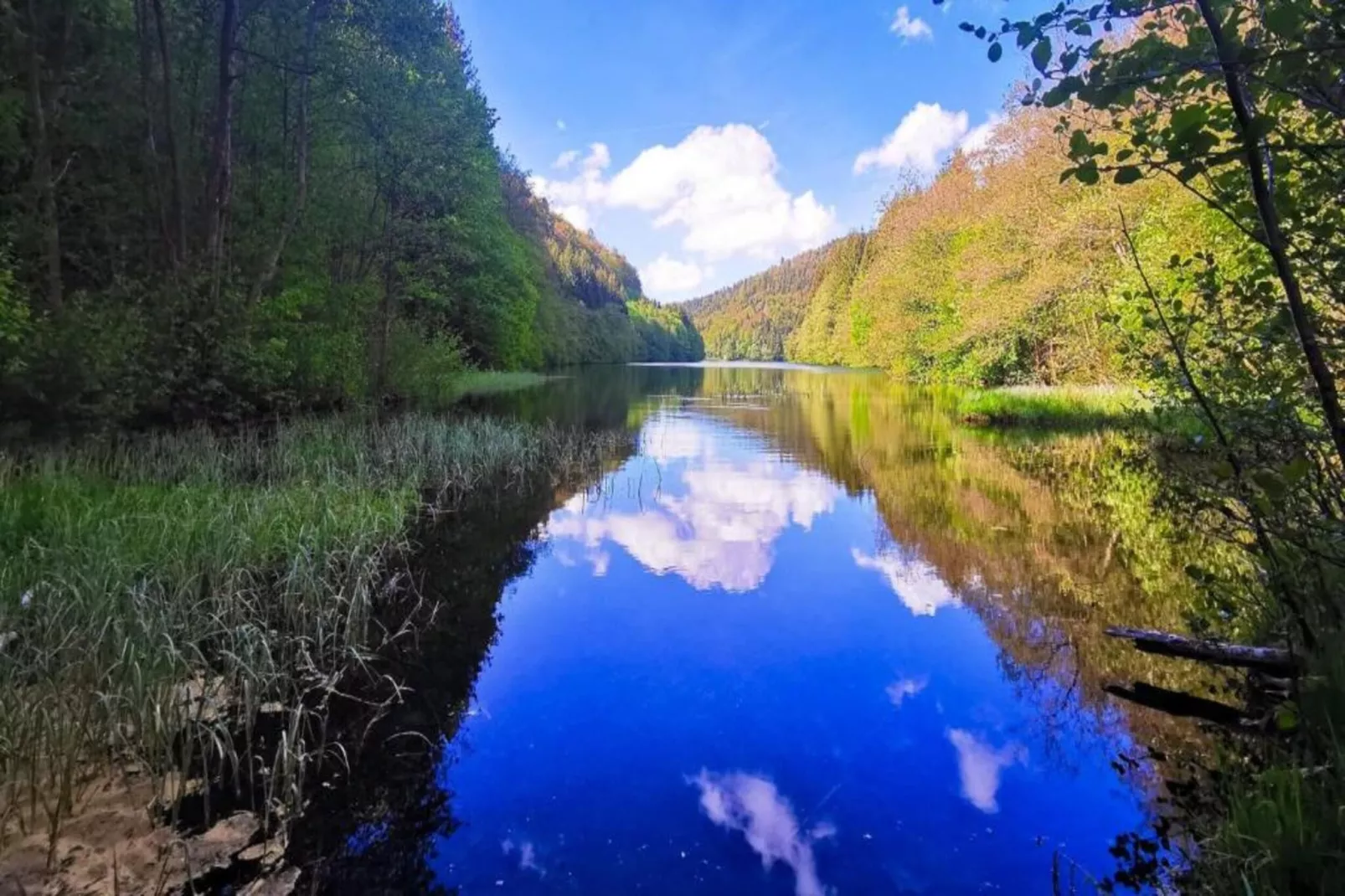 Thüringer Wald-Gebieden zomer 20km