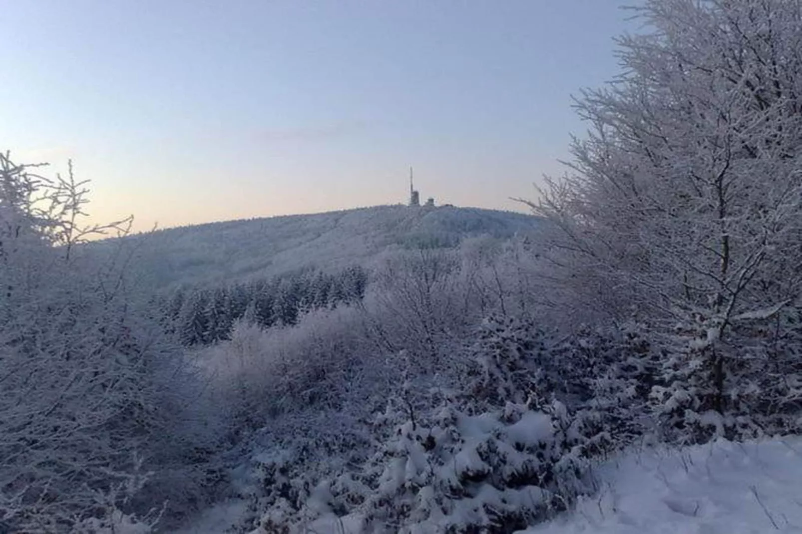 Thüringer Wald-Gebied winter 20km
