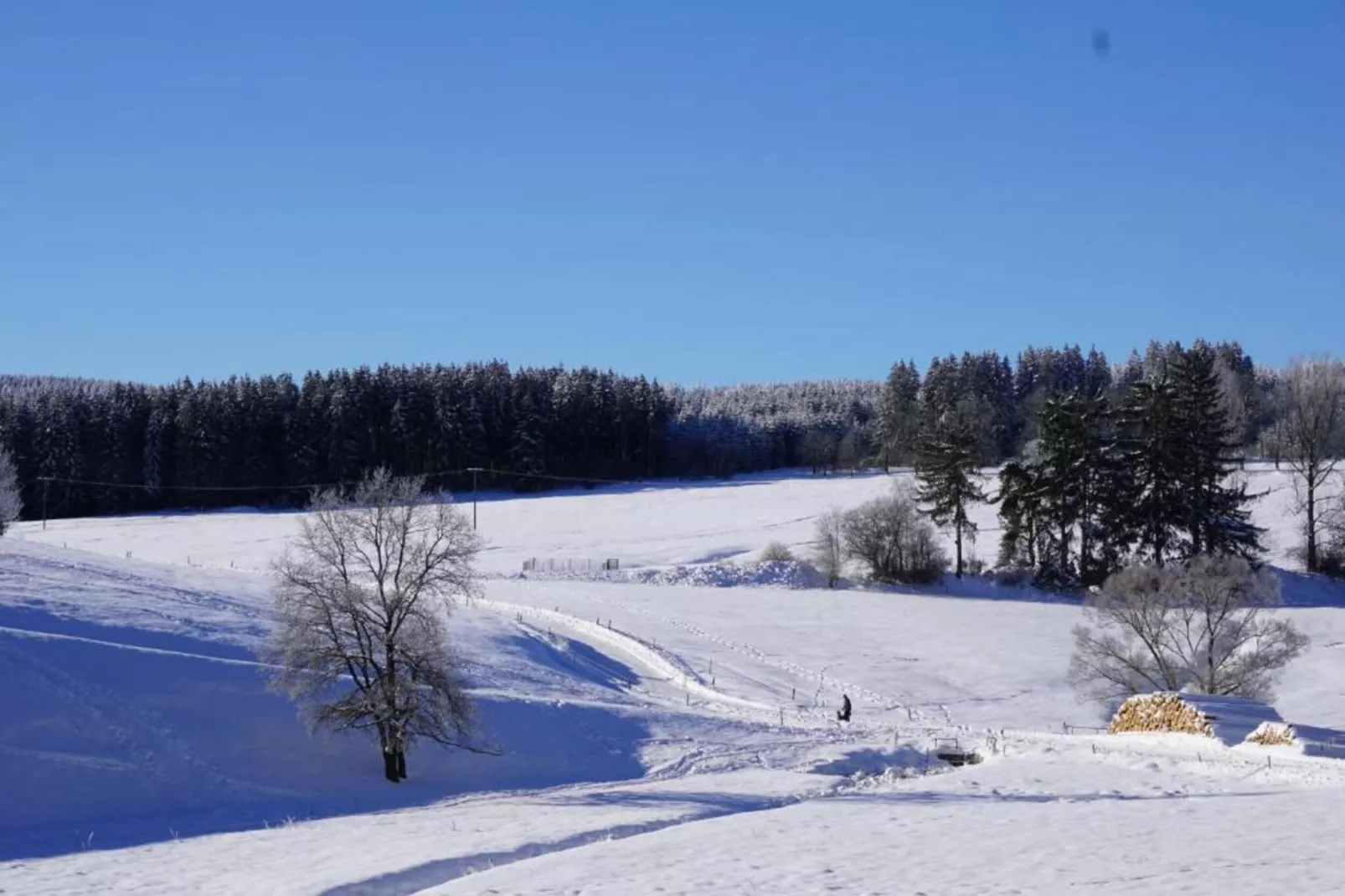 Ferienhaus im Thüringer Wald-Gebied winter 5km