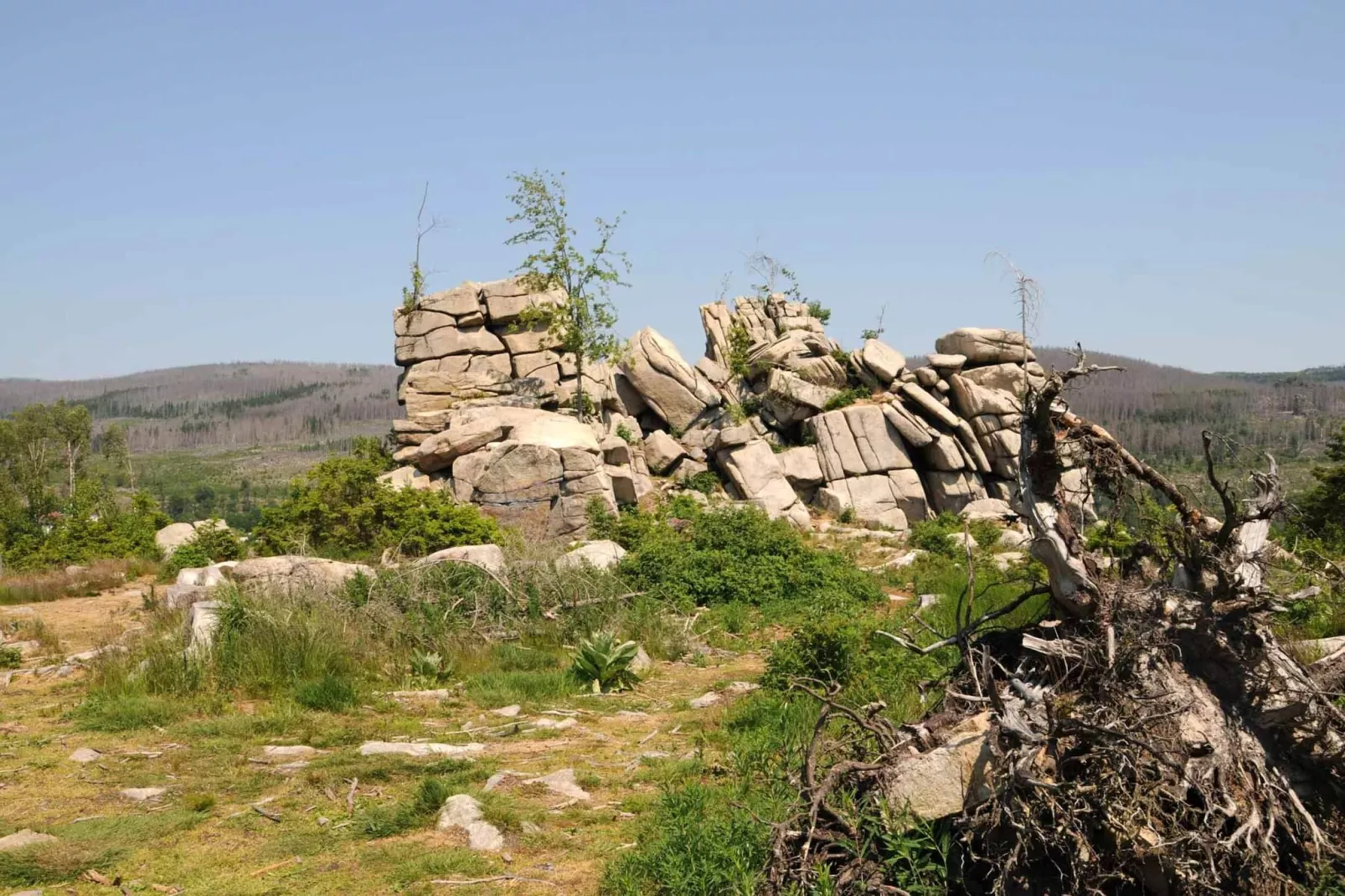 ExclusivLodge - 6 Pers-Gebieden zomer 5km