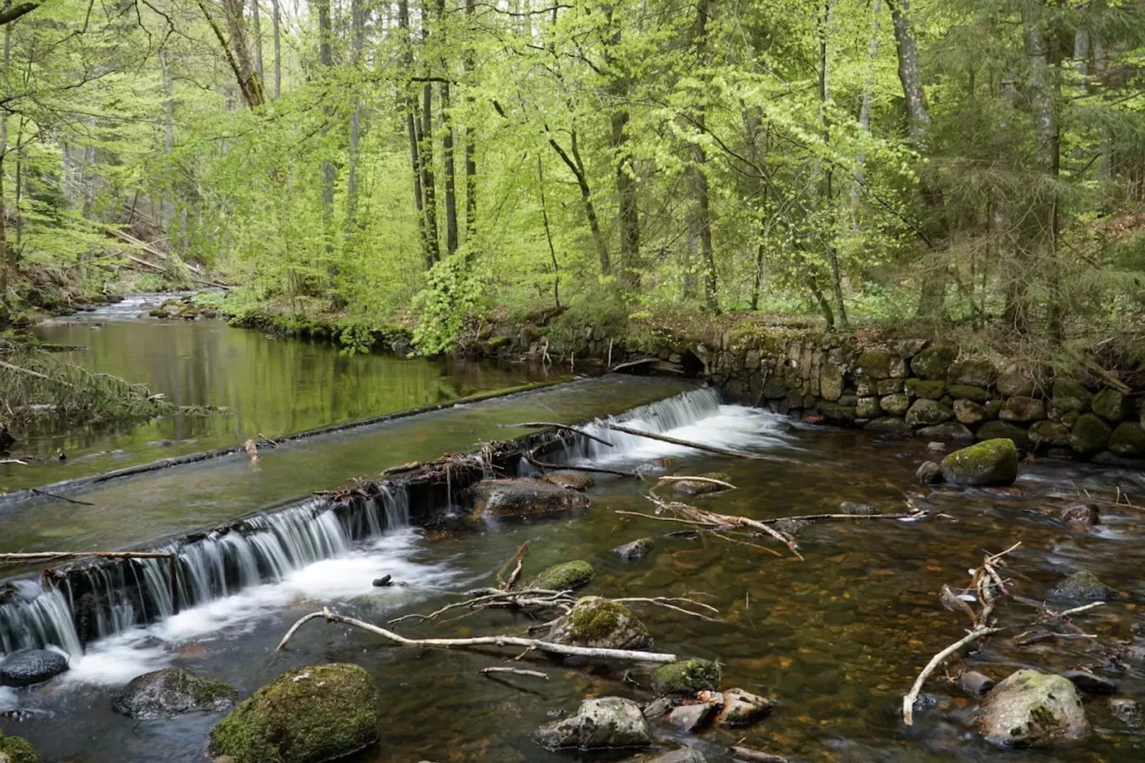 ExclusivLodge - 6 Erw 2 Ki-11 J-Gebieden zomer 5km