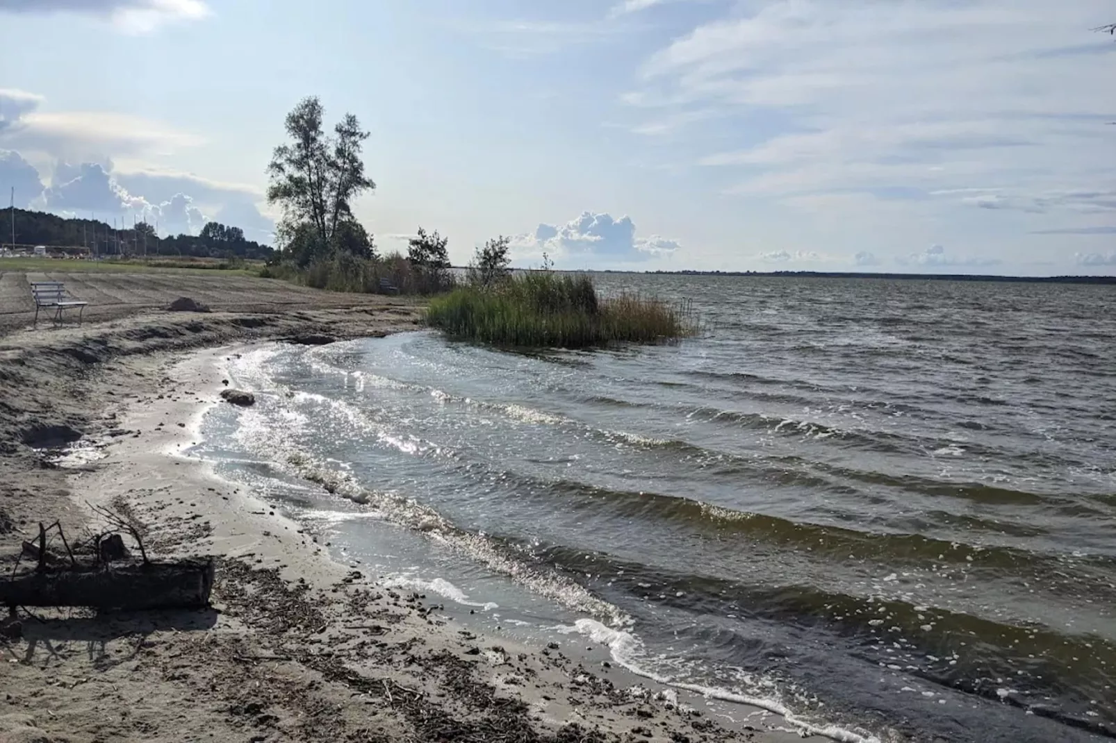 Seeschwalbe 55-Gebieden zomer 1km