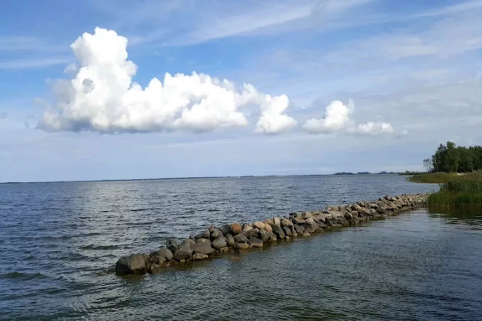 Haubenlerche 14-Gebieden zomer 5km