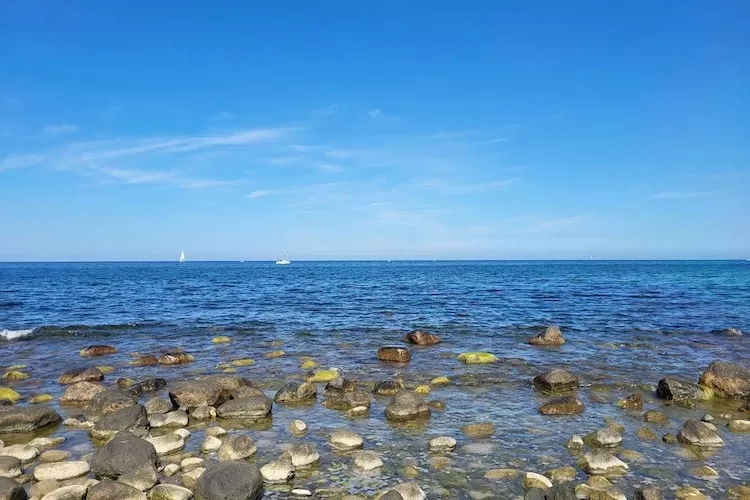 Post Hiddensee-Wohnung 18-Gebieden zomer 5km