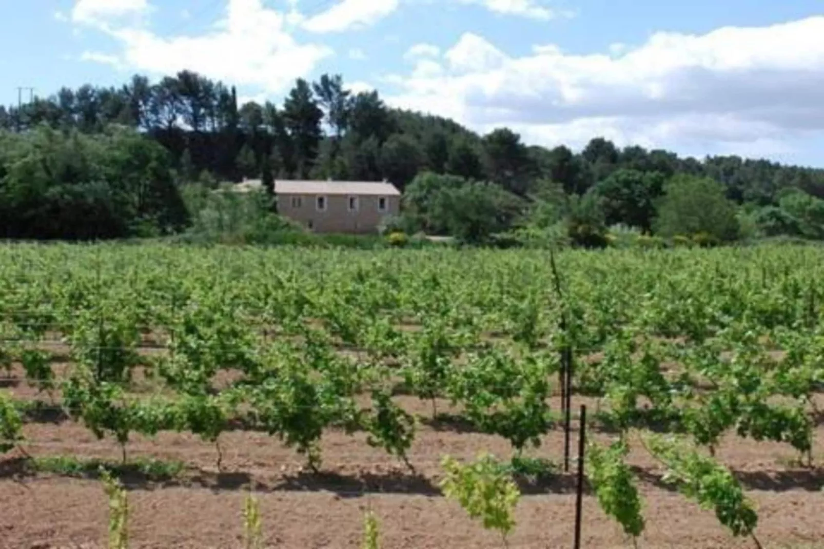 Gite Rozieres-Gebieden zomer 20km
