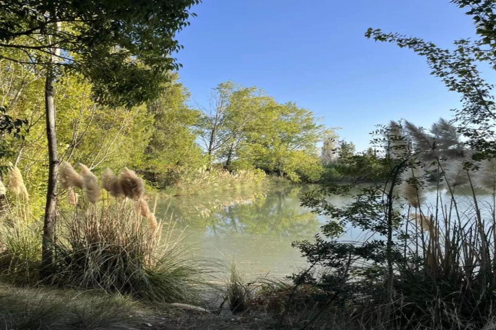 Le village Camarguais Les Gardians 1-Gebieden zomer 20km