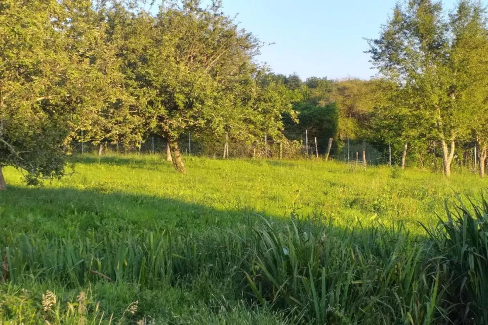 La Belle Vue-Gebieden zomer 5km