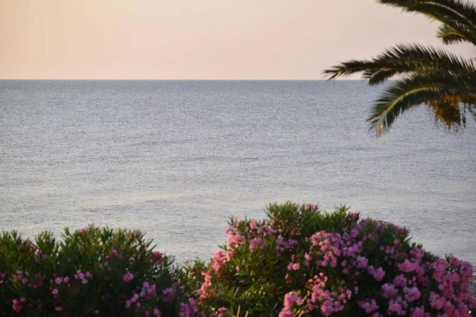 Acitaja-Gebieden zomer 20km