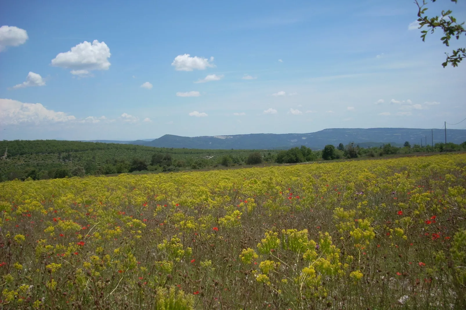 Au château près du Ventoux III-Gebieden zomer 20km