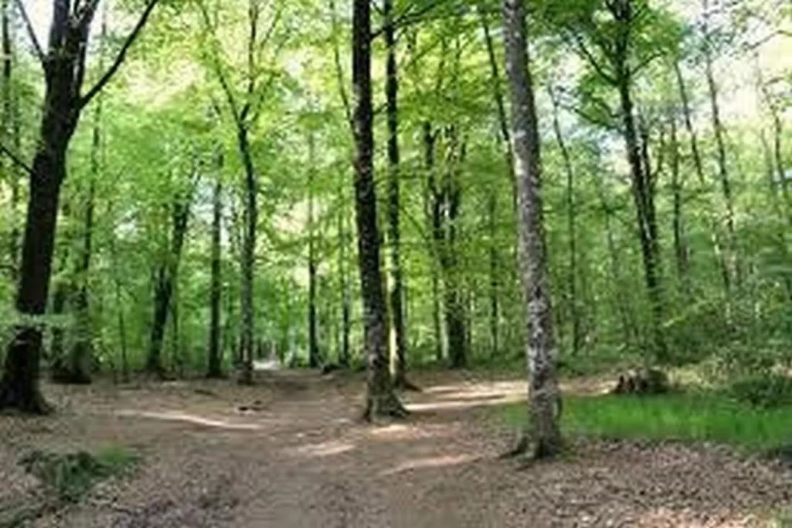 Résidence Le Domaine de l'Emeraude 2-Gebieden zomer 20km
