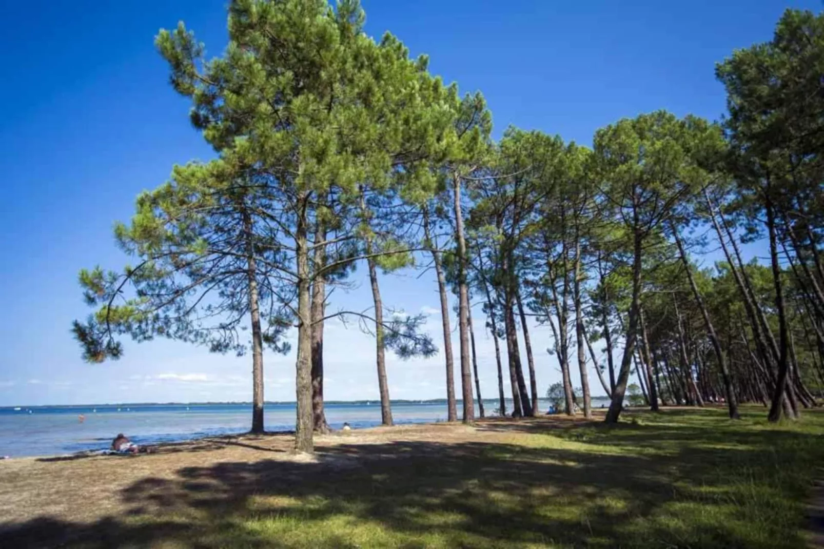 Le Domaine des Grands Lacs 1-Gebieden zomer 5km