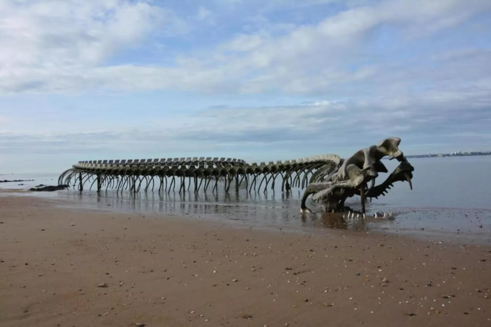 Résidence le Domaine de L'Océan 2-Gebieden zomer 20km
