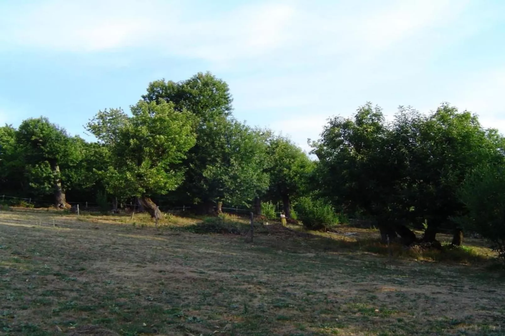 La Chataigne-Gebieden zomer 5km