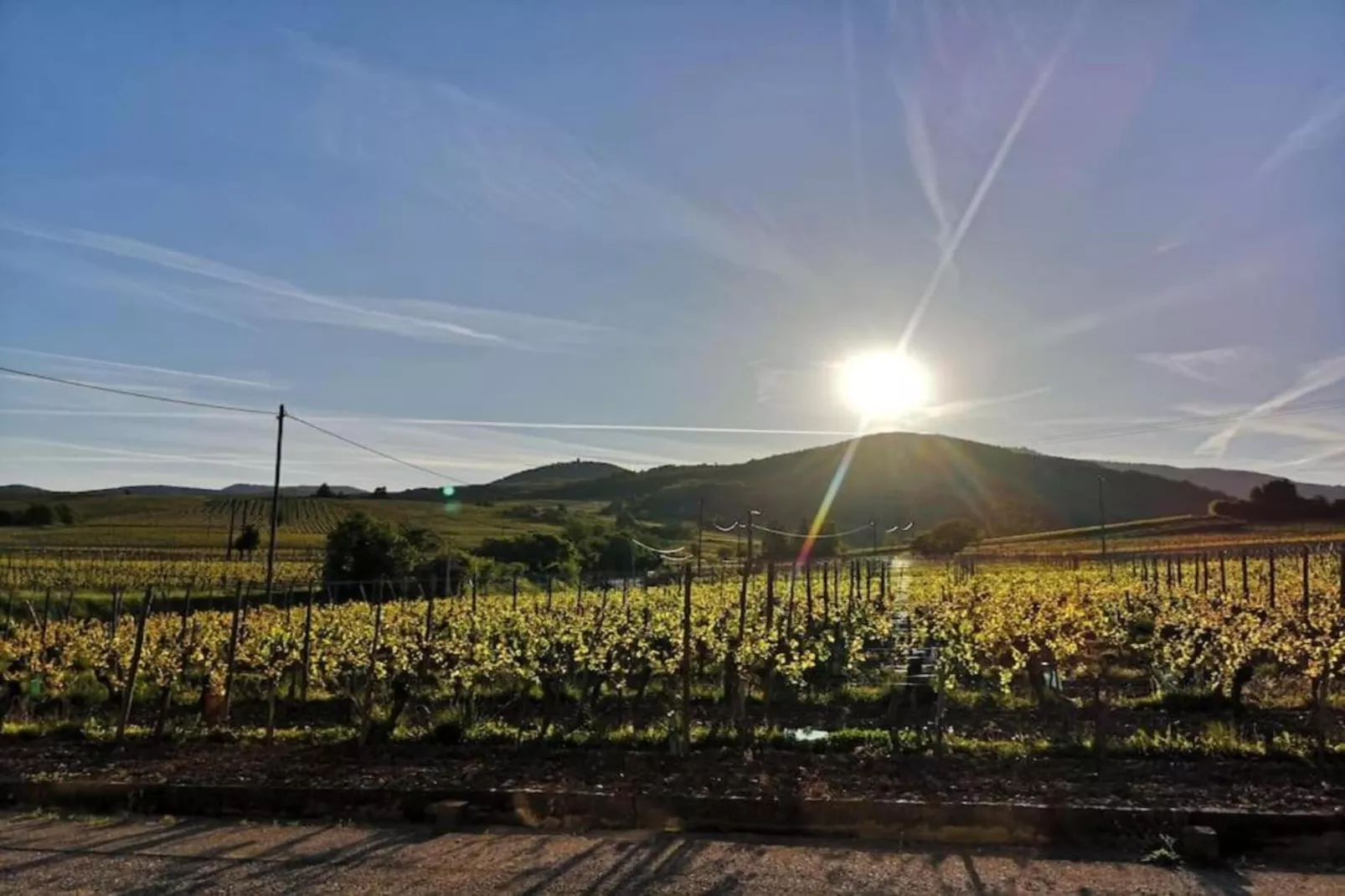 Le Domaine des Rois 2-Gebieden zomer 5km