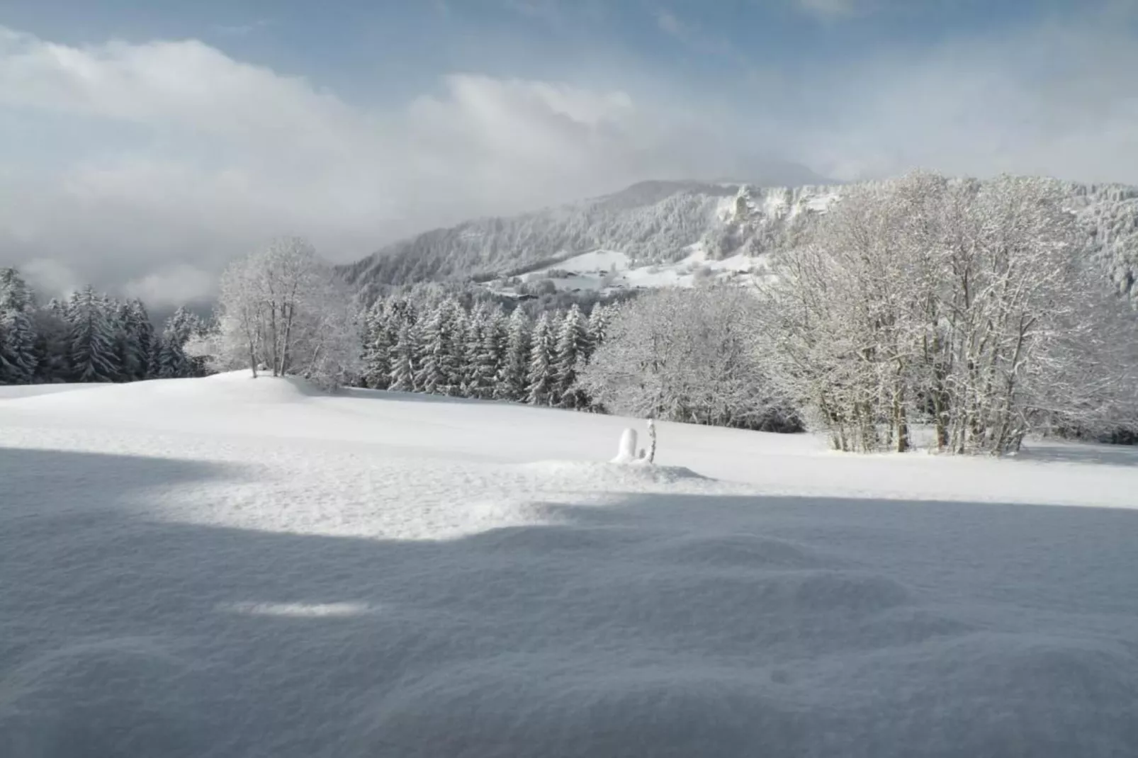 Résidence Les Belles Roches 1-Gebied winter 20km