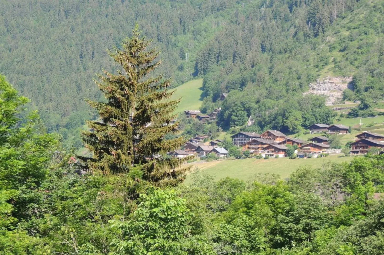 Residence Les Chalets d'Evian 4-Gebieden zomer 20km