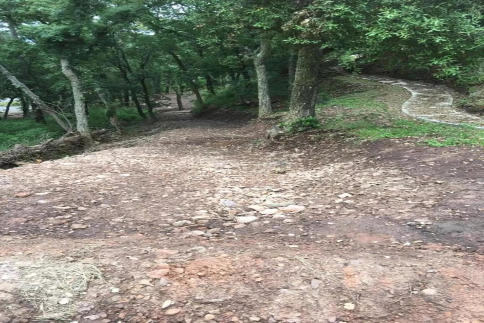 Jonila-Gebieden zomer 20km