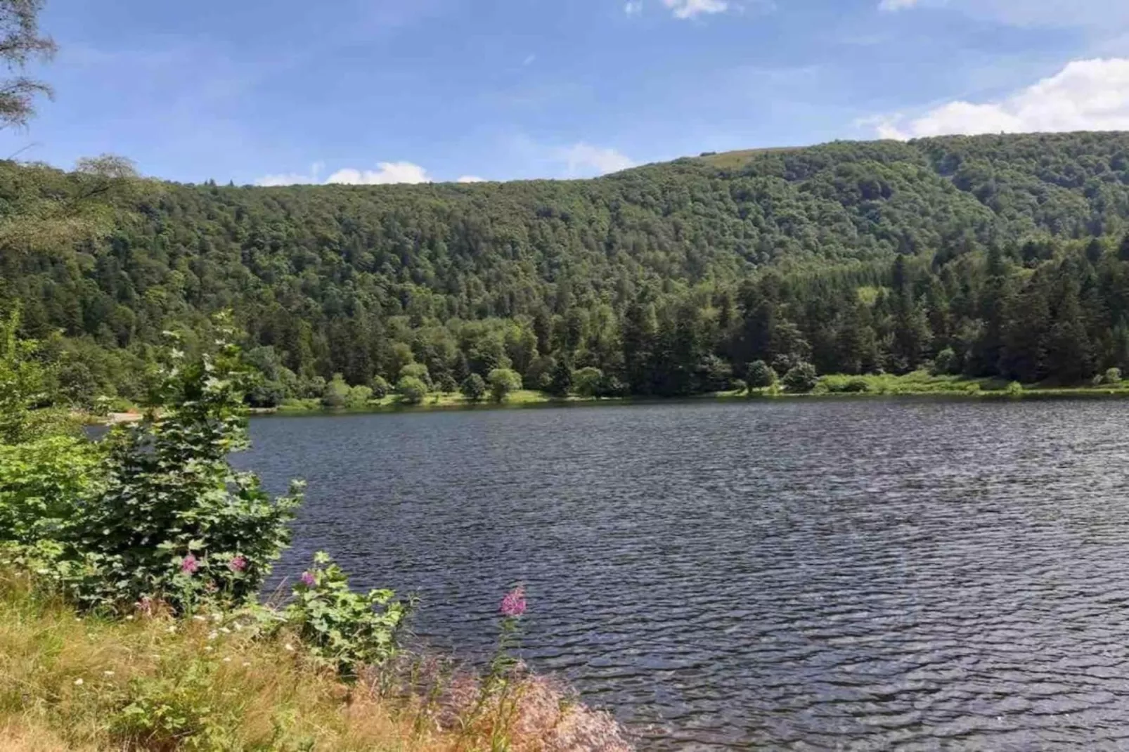 Le Menil-Gebieden zomer 20km