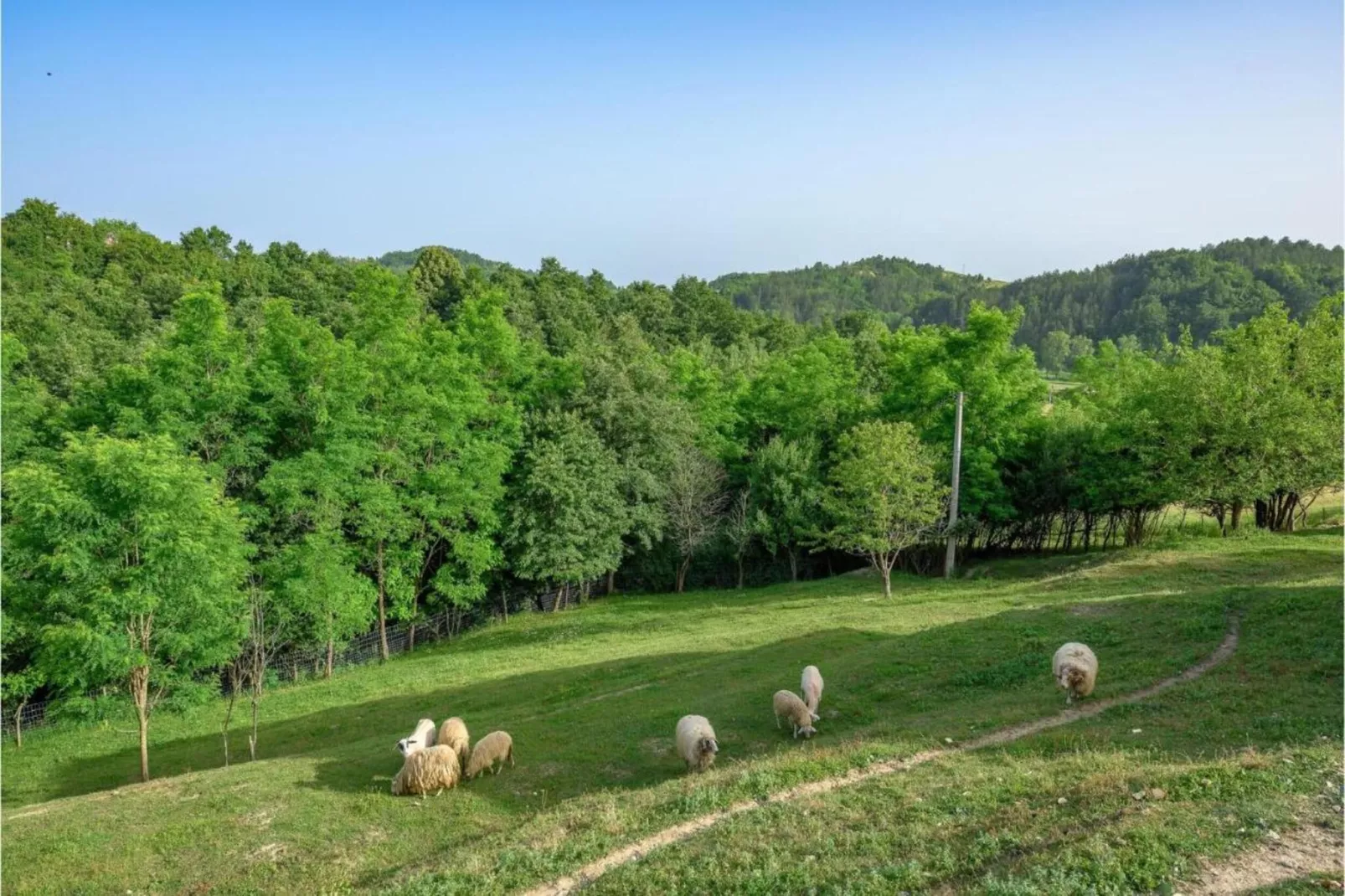 Holiday house Lema-Gebieden zomer 20km
